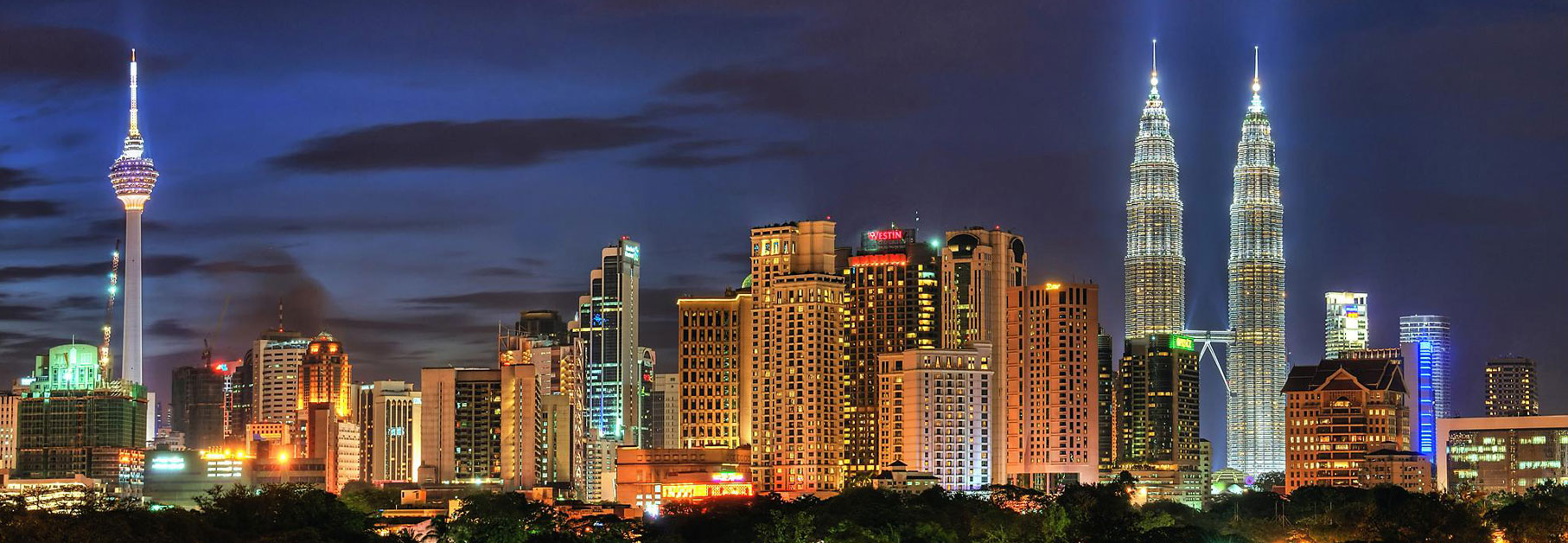 ipm-msia-banner-top