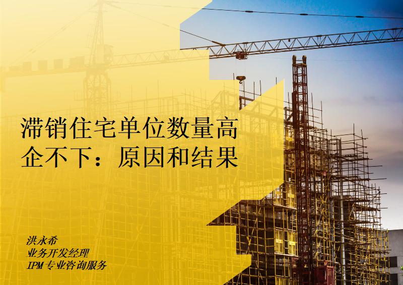 滞销住宅单位数量高企不下：原因和结果
