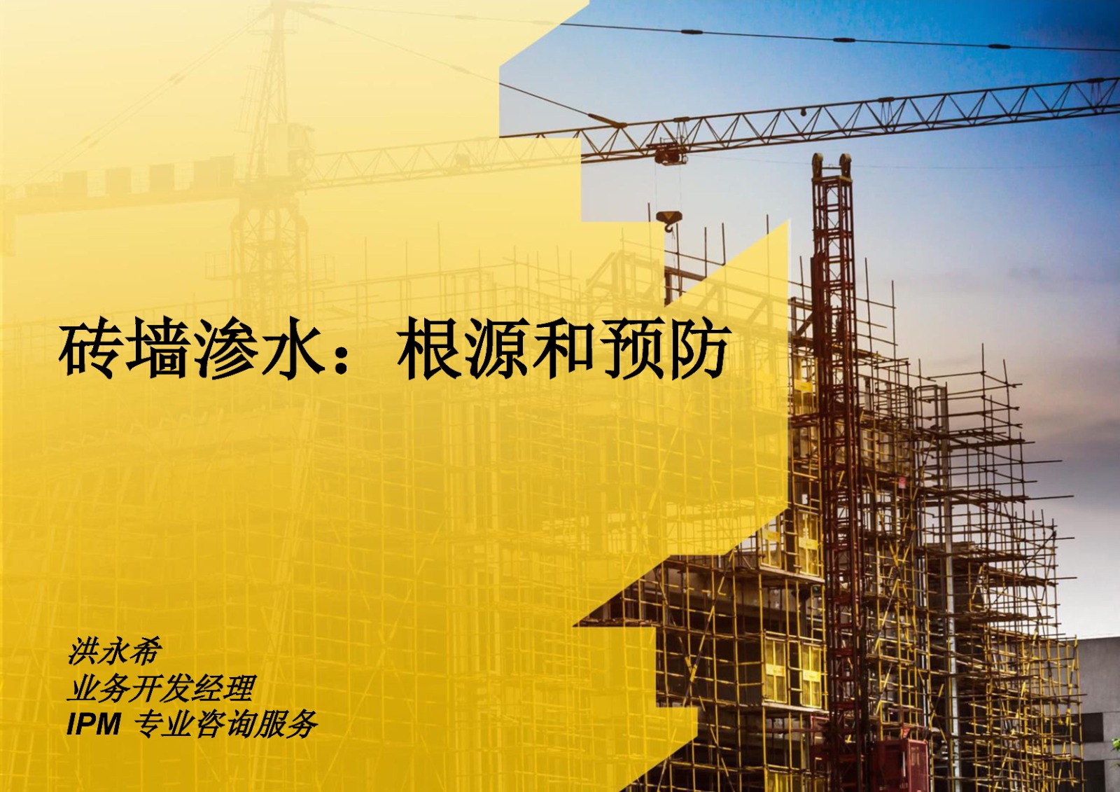砖墙渗水：根源和预防