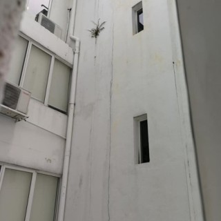 Building Defect Assessment 06