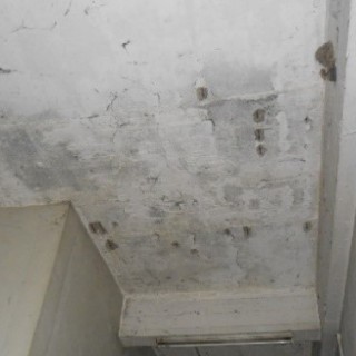 Building Defect Assessment 08