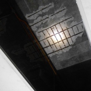 Building Defect Assessment 09