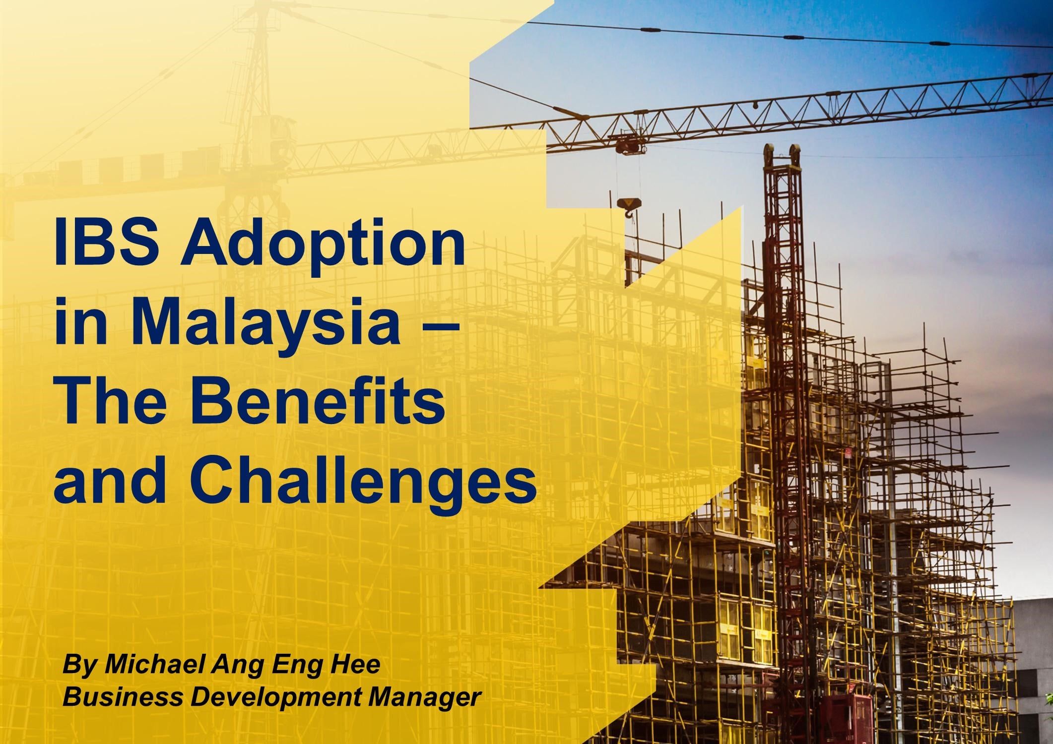 IBS Adoption In Malaysia - The Benefits And Challenges