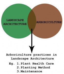 Arboriculture Practices