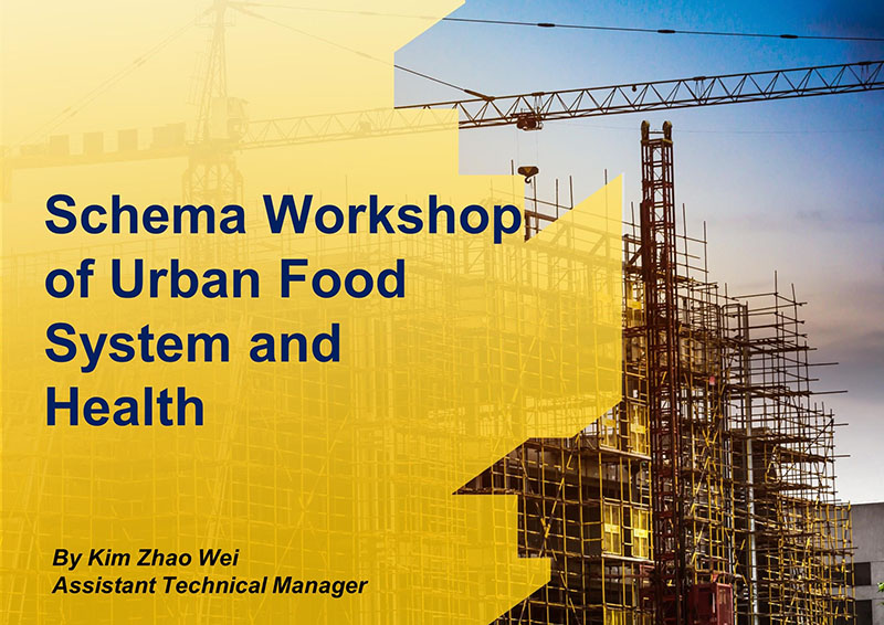 A Brain Cracking Experience With United Nations University: Schema Workshop of Urban Food System and Health