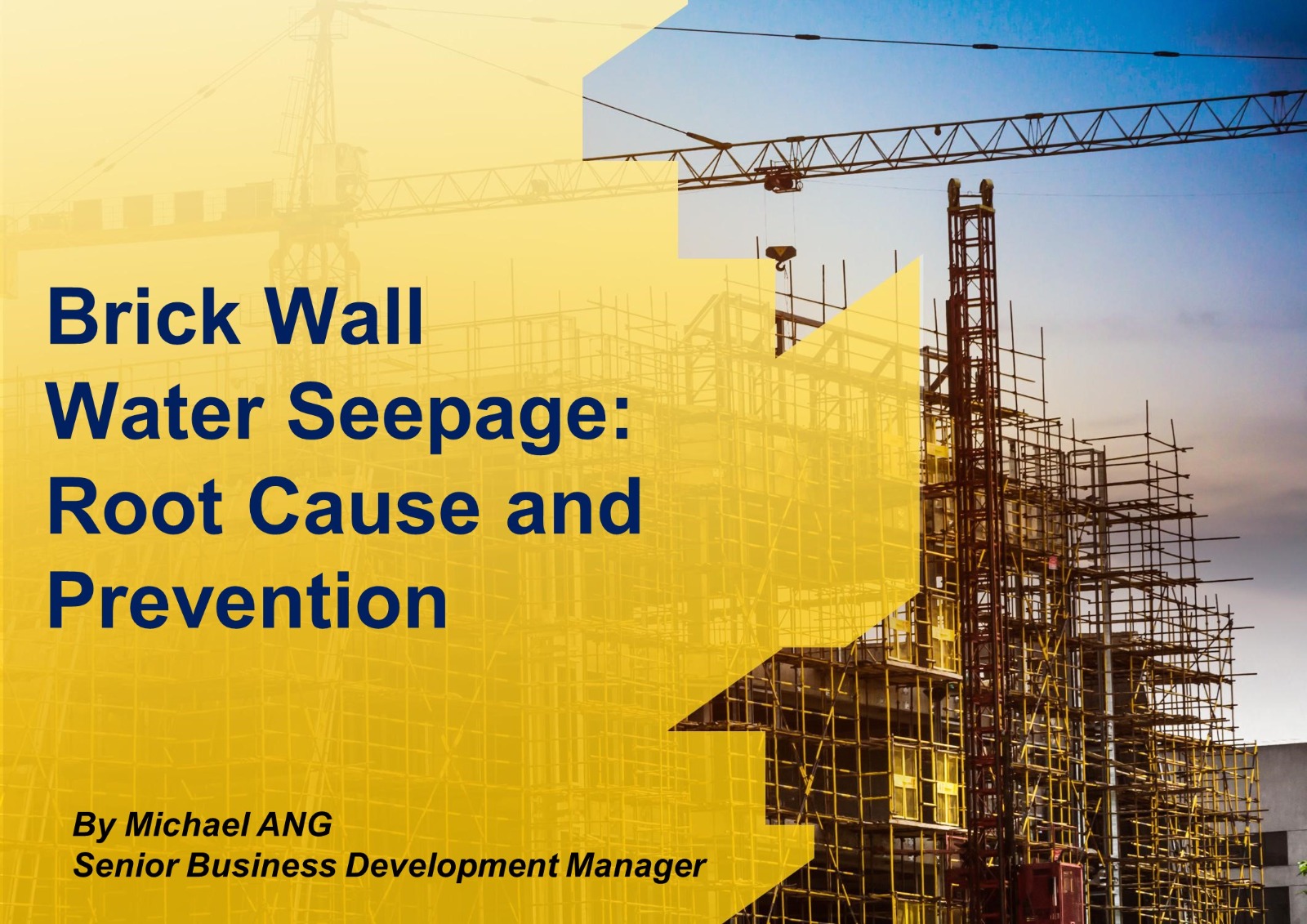 Brick Wall Water Seepage: Root Cause and Prevention